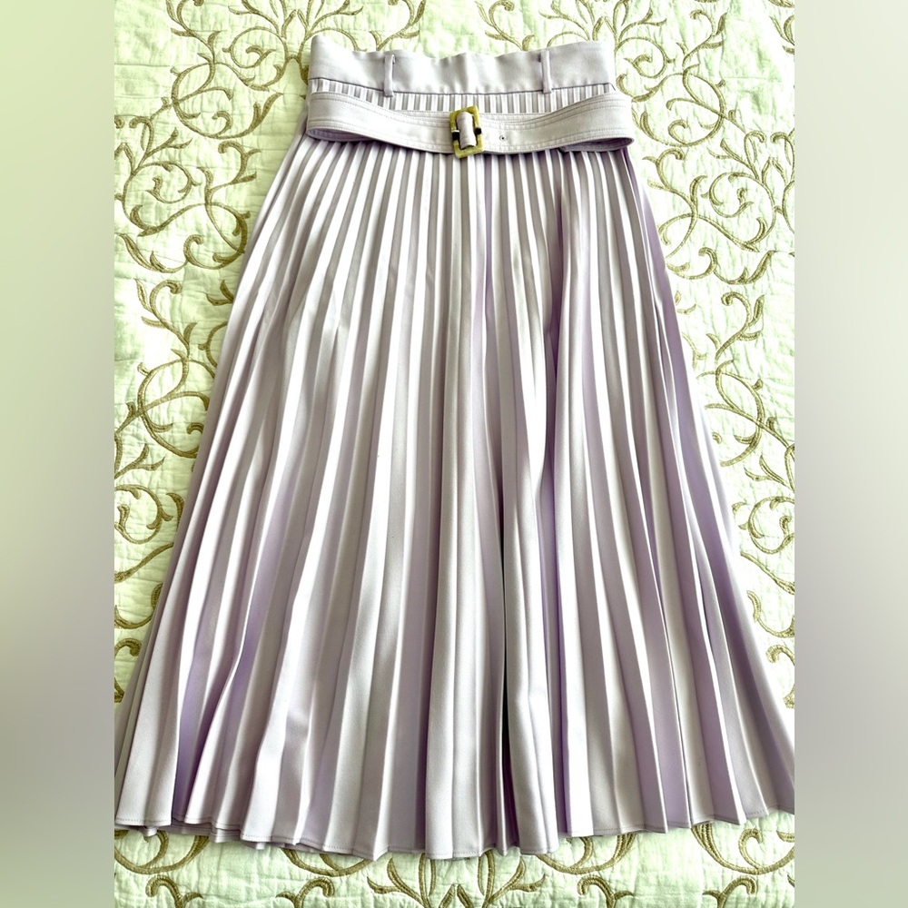Ann Taylor Pleated Skirt